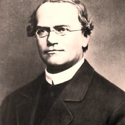 Gregor Mendel